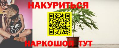 молекула духа Новозыбков