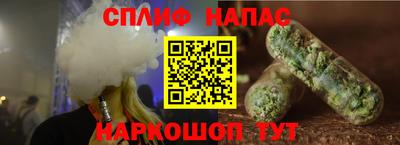 молекула духа Новозыбков