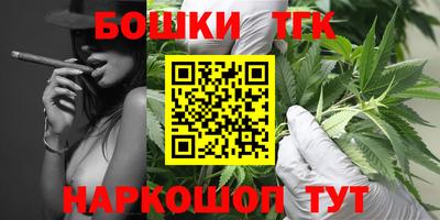 молекула духа Новозыбков