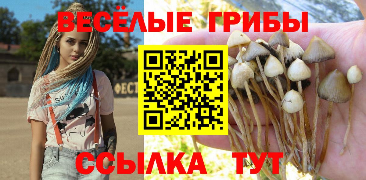 Татарск  Псилоцибиновые грибы Magic Shrooms  Вход с VPN  Галлюциногенные грибы GOLDEN TEACHER 